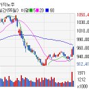 강원옵틱 이미지