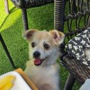 마린독스 이미지