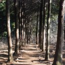 갈모봉산림욕장 이미지