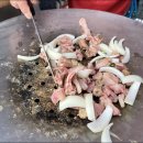 산꼼장어 이미지