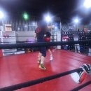 골든보이복싱체육관 이미지