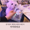 까까뭐멍냥 | 경기광주 강아지수제간식 맛집 까까뭐멍냥 방문후기