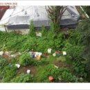 서구-01-148 이미지