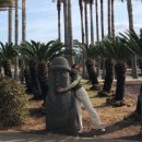 저팔계농장 이미지