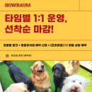 바우라움 메인캠퍼스 이미지