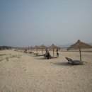 신안 태양광발전소 이미지