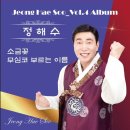 정해수