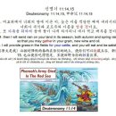 안경명가 이미지