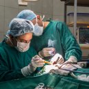 동대문약국 이미지