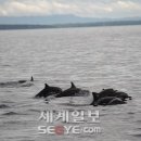 부산물 천국