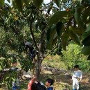 계성어린이집 이미지