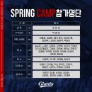 스프링 이미지