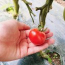 대덕1통마을회관 이미지