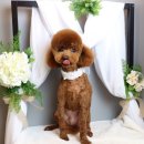 마린시티그루밍 이미지