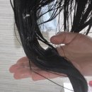 센스 | 헤어클리닉 파이브센스 트리트먼트 사용 후기