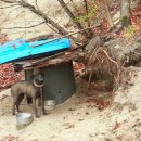 수명농장 이미지