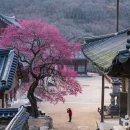 (주)예원관광여행사 이미지
