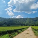 회천농장 이미지