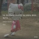 자발적 침대 위 폭군 발언 이미지