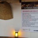 도치돌캠프 네이버블로그