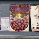 백개의 주머니로 만든 하루 이미지