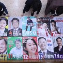 부산광역시 선거관리위원회 이미지