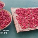 신계경로당 이미지