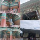 영광 불갑사 대웅전 | [2025.09.16] 불갑사2.천왕문을 지나 대웅전에서조사전까지