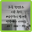 CU별내쌍용예가점 | 남양주 별내 탄성코트 쌍용예가 베란다 곰팡이 결로 페인트 제거