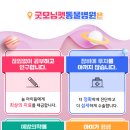굿모닝동물병원 이미지