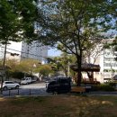 느티나무어린이공원화장실 이미지