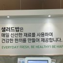 샐러드밥 | 신용동 포케맛집 샐러드밥 후기 (구운왕새우포케 + 에그마요토스트)