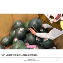 도인마트