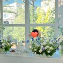 밸류메이드 - 송파구 법원로 128 | [내돈내산] 일산 소규모 돌잔치 파롤(PAROLE) 진행 후기💙 준비과정/식순 등