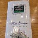 용우동 유천점 | [강릉 선수촌로 근처 맛집] 명품분식은 용우동! 용우동 유천점 후기(feat. 돌솥콘치즈닭갈비)