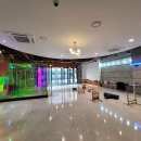 피터펫카페 일산점 이미지