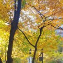 목은빌딩 이미지