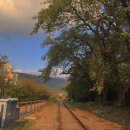 동읍437 | 인생은 B와 D 사이의 COVID-19