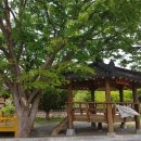 도라지경로당 이미지