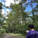 양길리 주차장 | 서산 가볼만한곳 :: 서산 팔봉산 산책길 힐링하기 좋았던 숲길