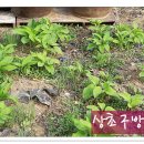 사월농장 이미지