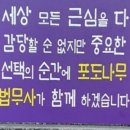 나무법무사사무소 이미지