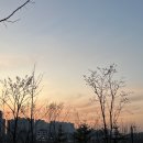 덕카페 이미지