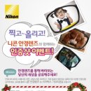 안경나누기 이미지