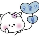 꽃:단장헤어 이미지