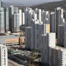 로또만물상 조선일보
