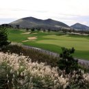 (주)제주가는길 이미지