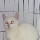 산곡로 이미지