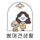 뽐스토어 이미지