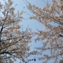 원신근린공원 이미지